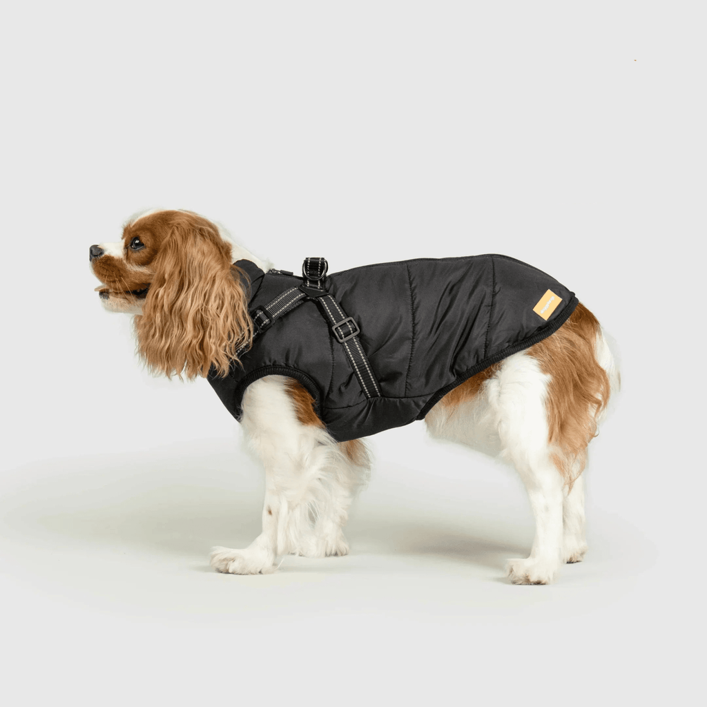 PawfectGuard™ 3 - i - 1 Hundejakke – Ultimat Beskyttelse, Stil & Komfort! - NordHjem