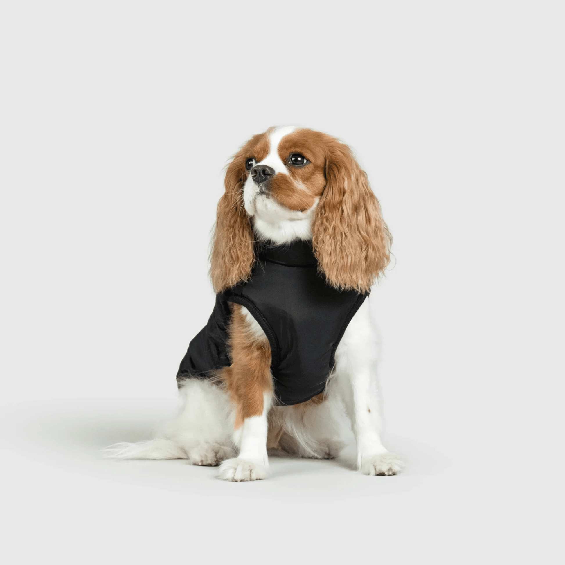 PawfectGuard™ 3 - i - 1 Hundejakke – Ultimat Beskyttelse, Stil & Komfort! - NordHjem