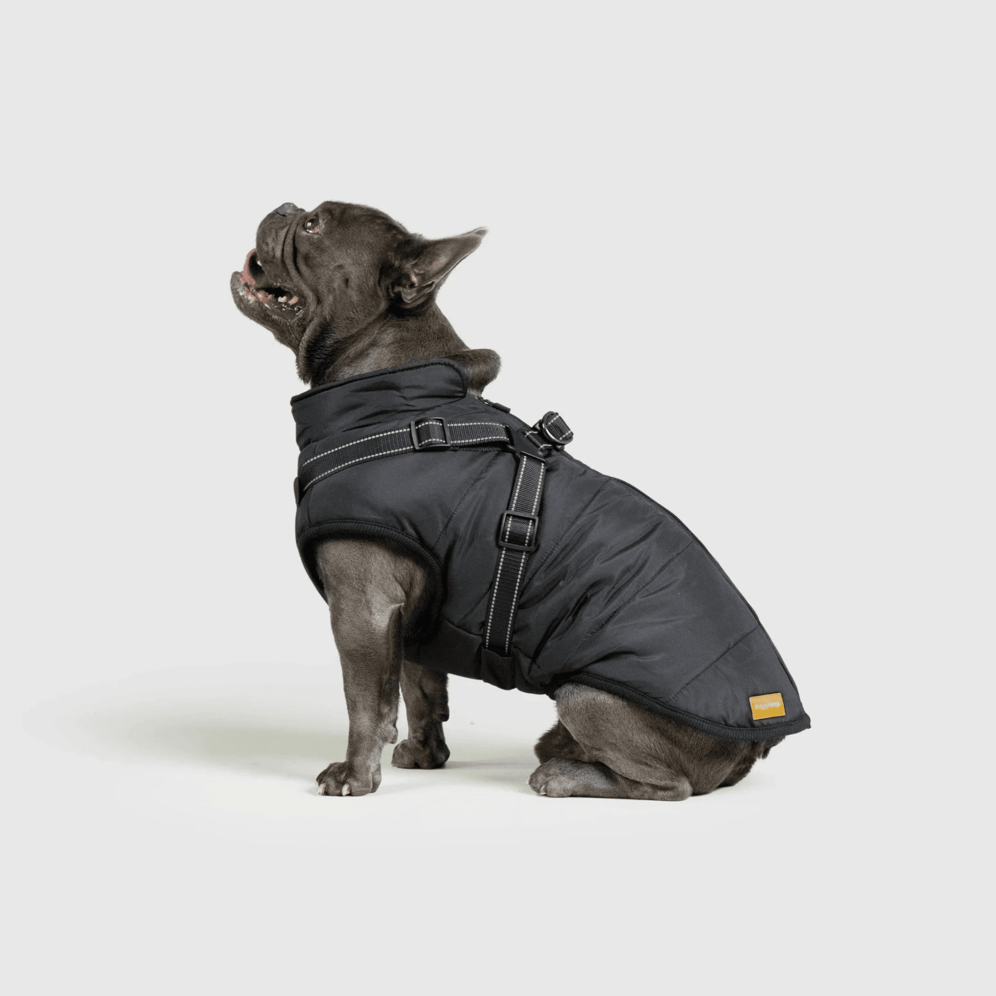 PawfectGuard™ 3 - i - 1 Hundejakke – Ultimat Beskyttelse, Stil & Komfort! - NordHjem