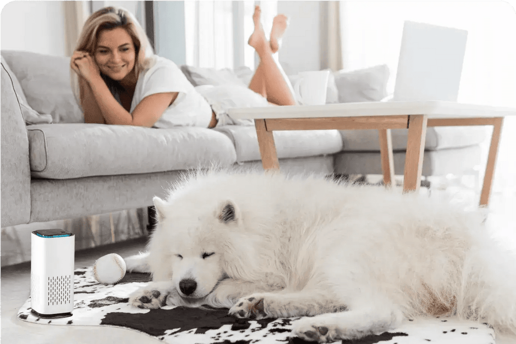 Pet Air Purifier™ - luftrenser for kjæledyr - NordHjem