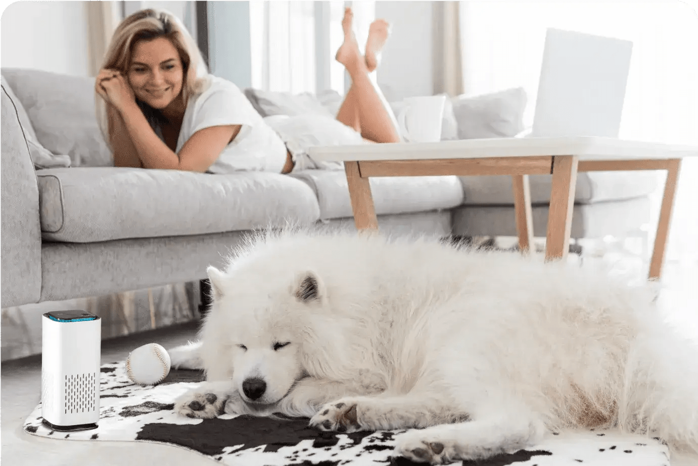Pet Air Purifier™ - luftrenser for kjæledyr - NordHjem