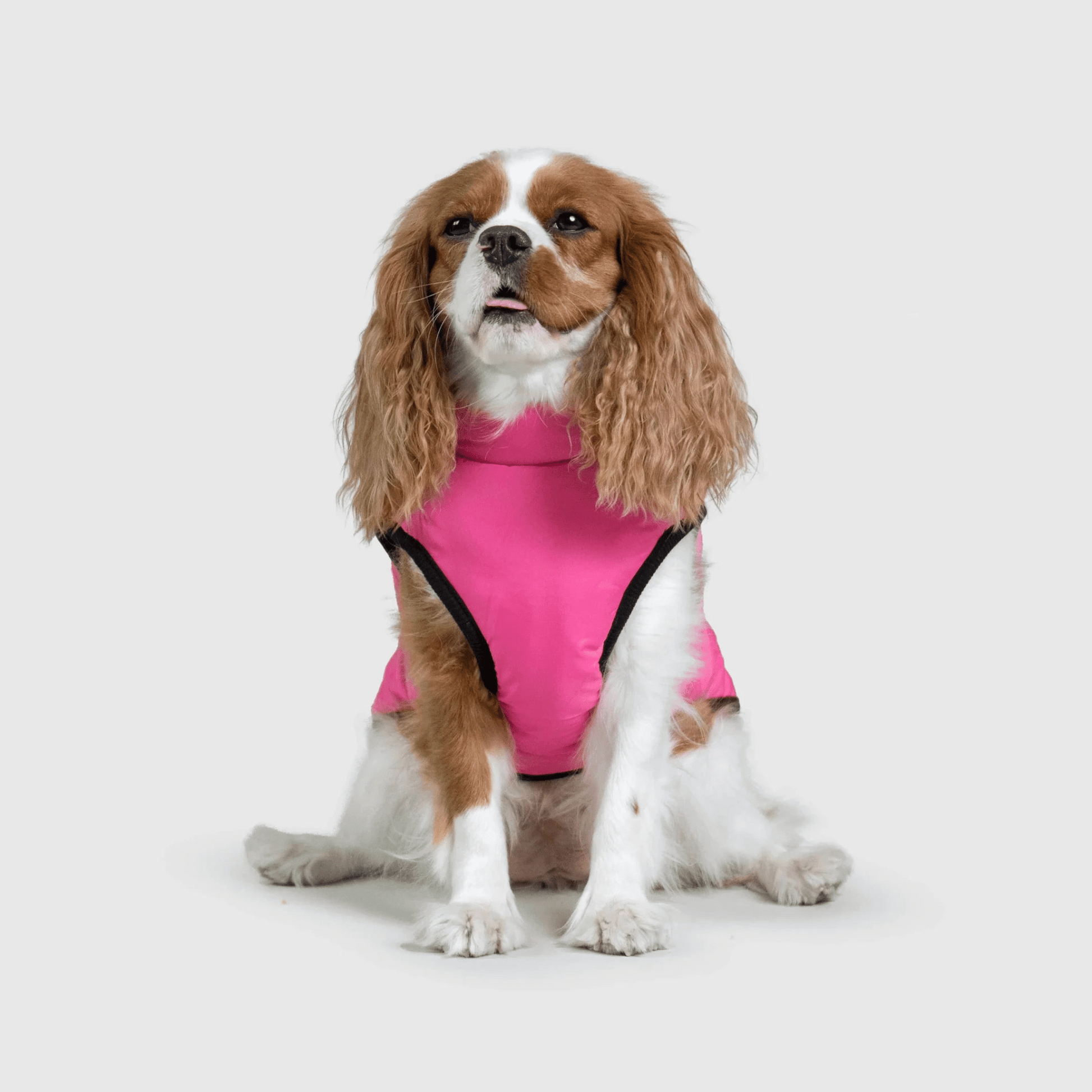 PawfectGuard™ 3 - i - 1 Hundejakke – Ultimat Beskyttelse, Stil & Komfort! - NordHjem
