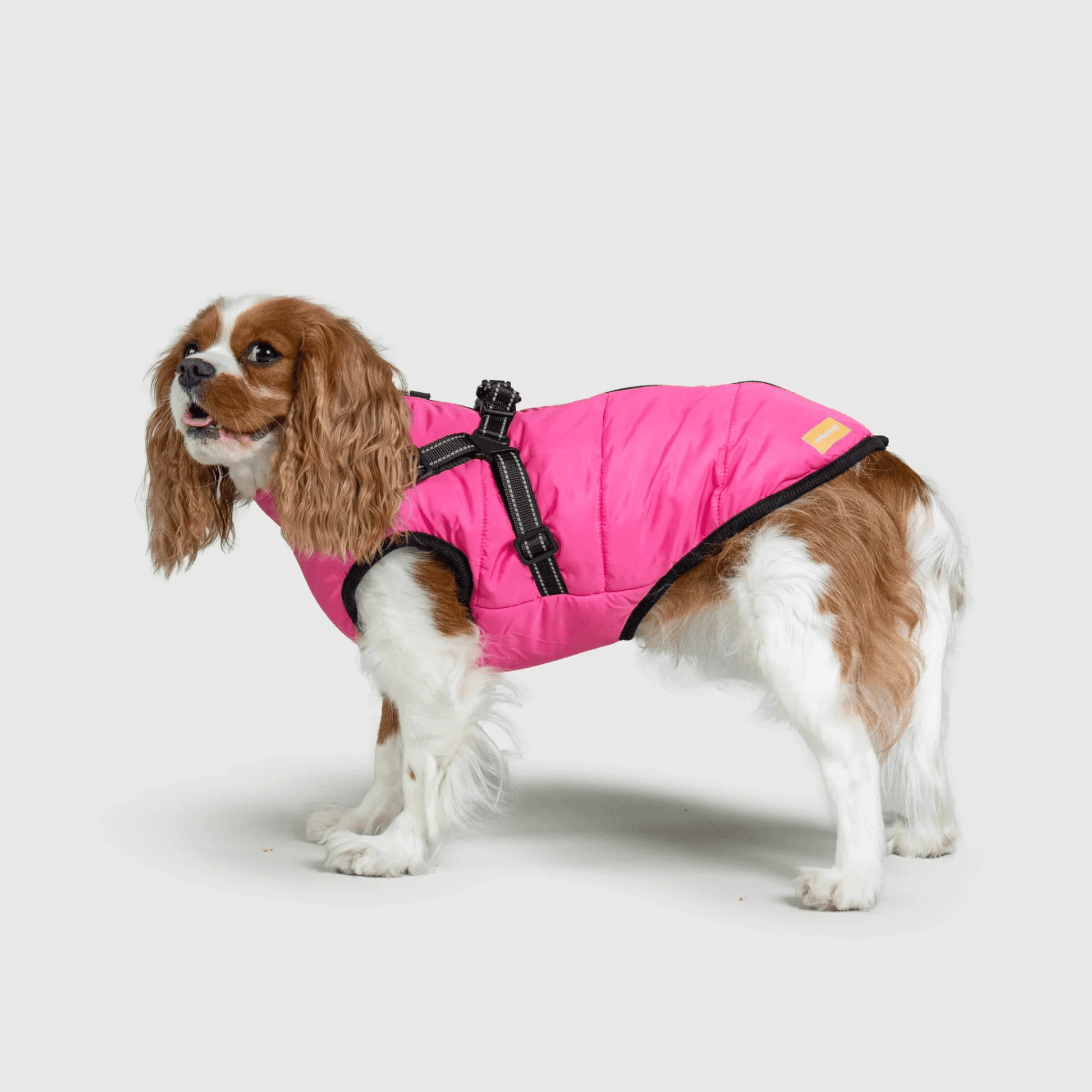 PawfectGuard™ 3 - i - 1 Hundejakke – Ultimat Beskyttelse, Stil & Komfort! - NordHjem