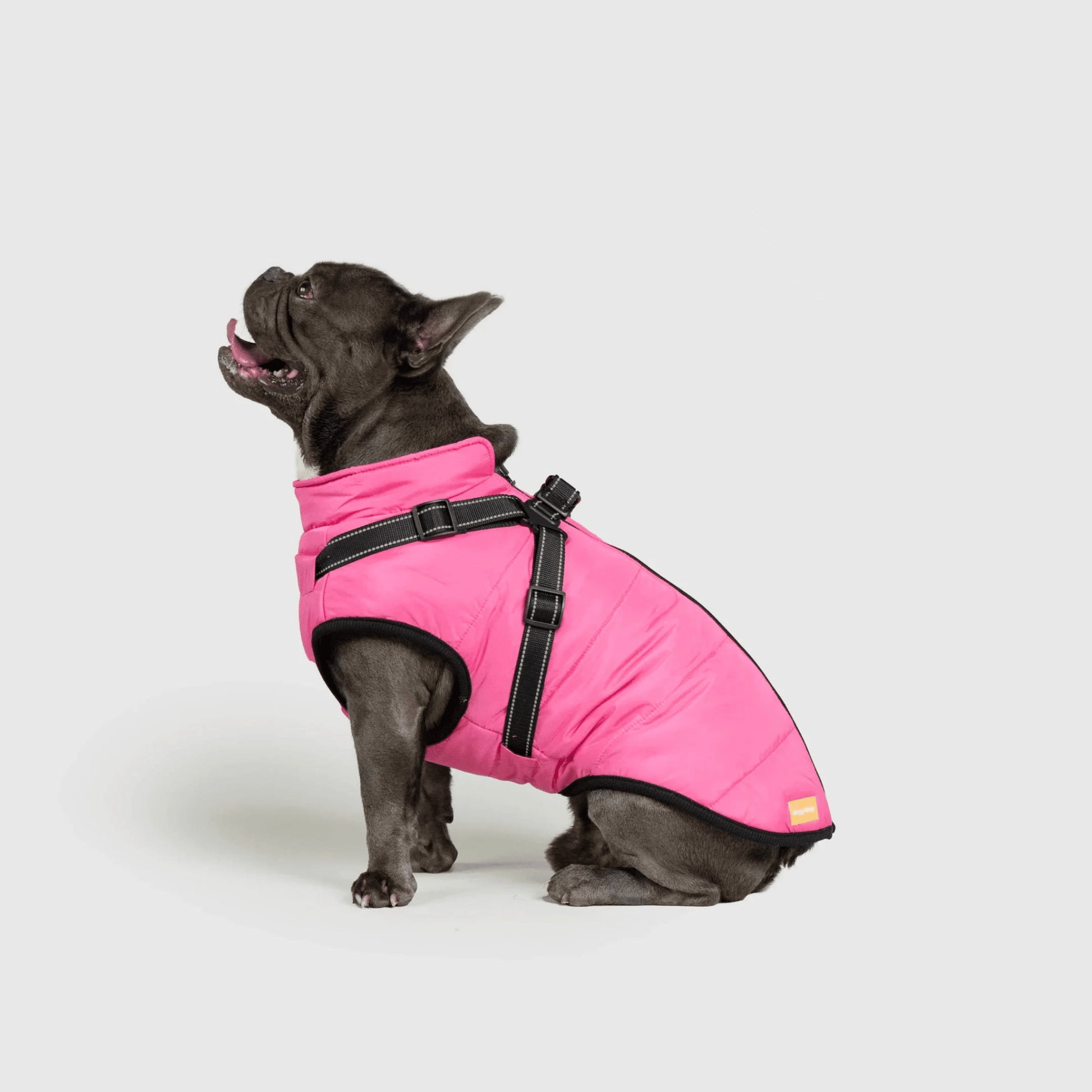 PawfectGuard™ 3 - i - 1 Hundejakke – Ultimat Beskyttelse, Stil & Komfort! - NordHjem