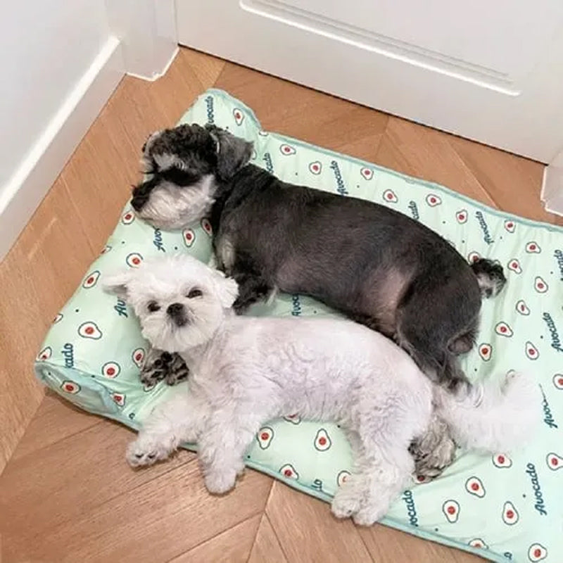 DogCatFri™ CoolMat: Avkjøling Matte Til Hunder Og Katter