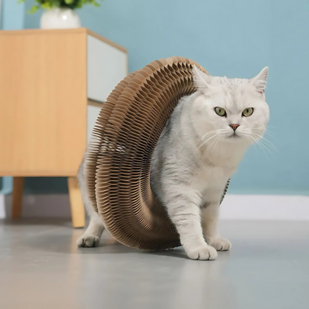 Catfri® - De Katt Riper