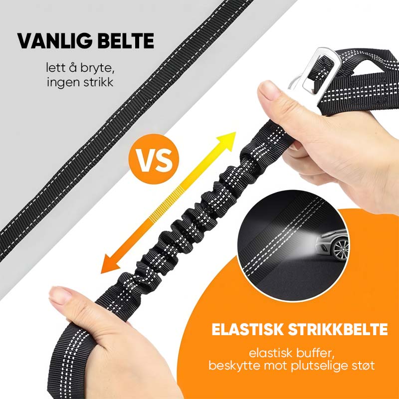 Sikkerhetsbelte for kjæledyr til bil