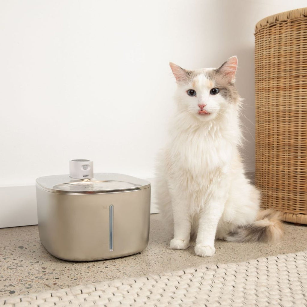 Sipurr™ | Kattfontene - NordHjem