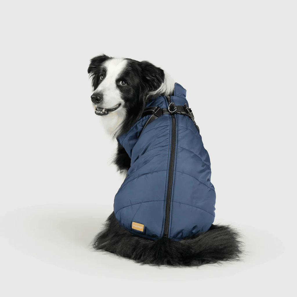 PawfectGuard™ 3 - i - 1 Hundejakke – Ultimat Beskyttelse, Stil & Komfort! - NordHjem