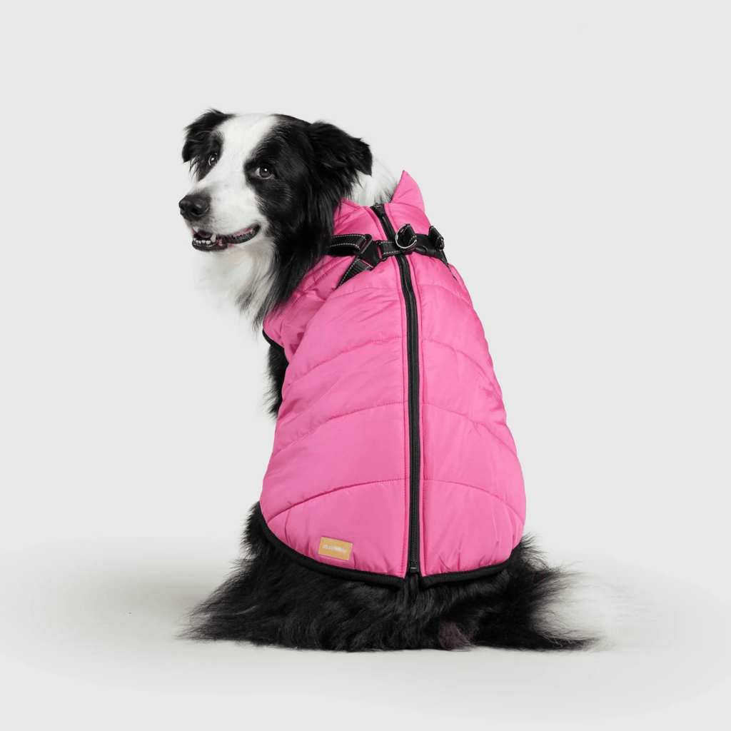 PawfectGuard™ 3 - i - 1 Hundejakke – Ultimat Beskyttelse, Stil & Komfort! - NordHjem