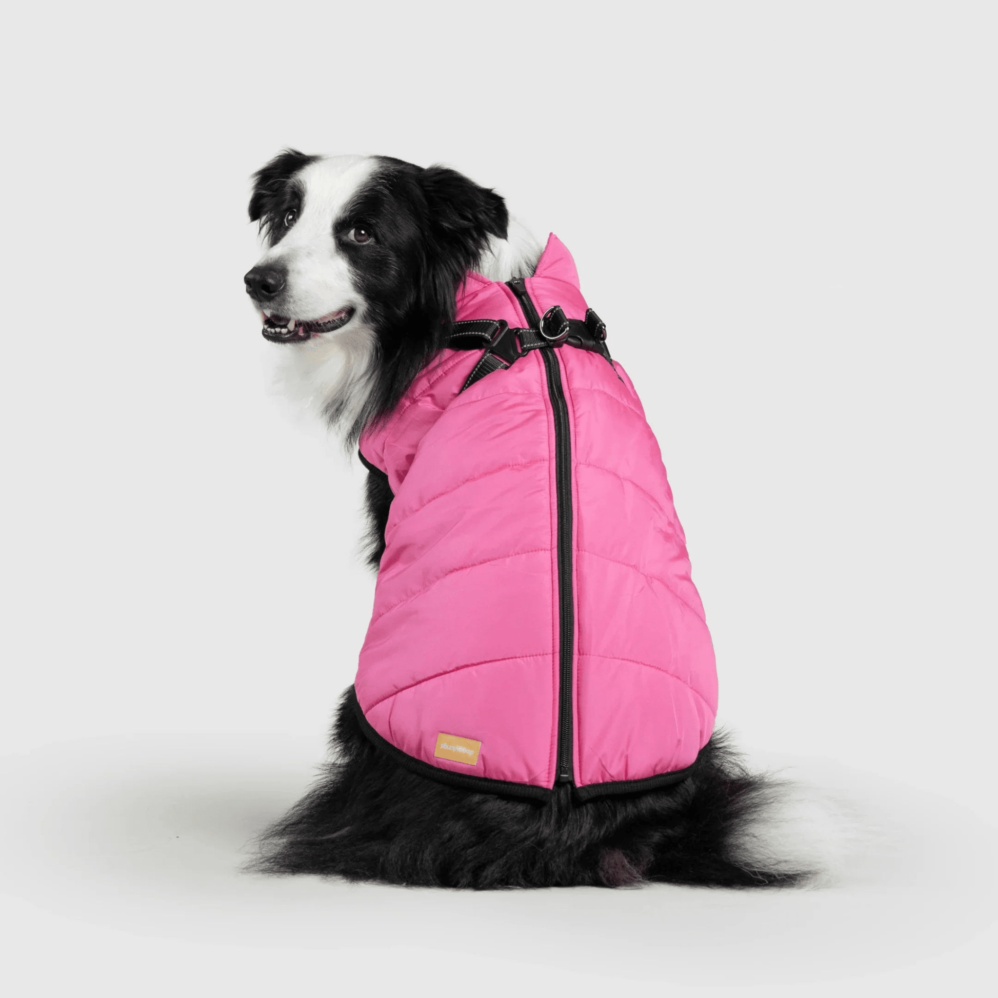PawfectGuard™ 3 - i - 1 Hundejakke – Ultimat Beskyttelse, Stil & Komfort! - NordHjem