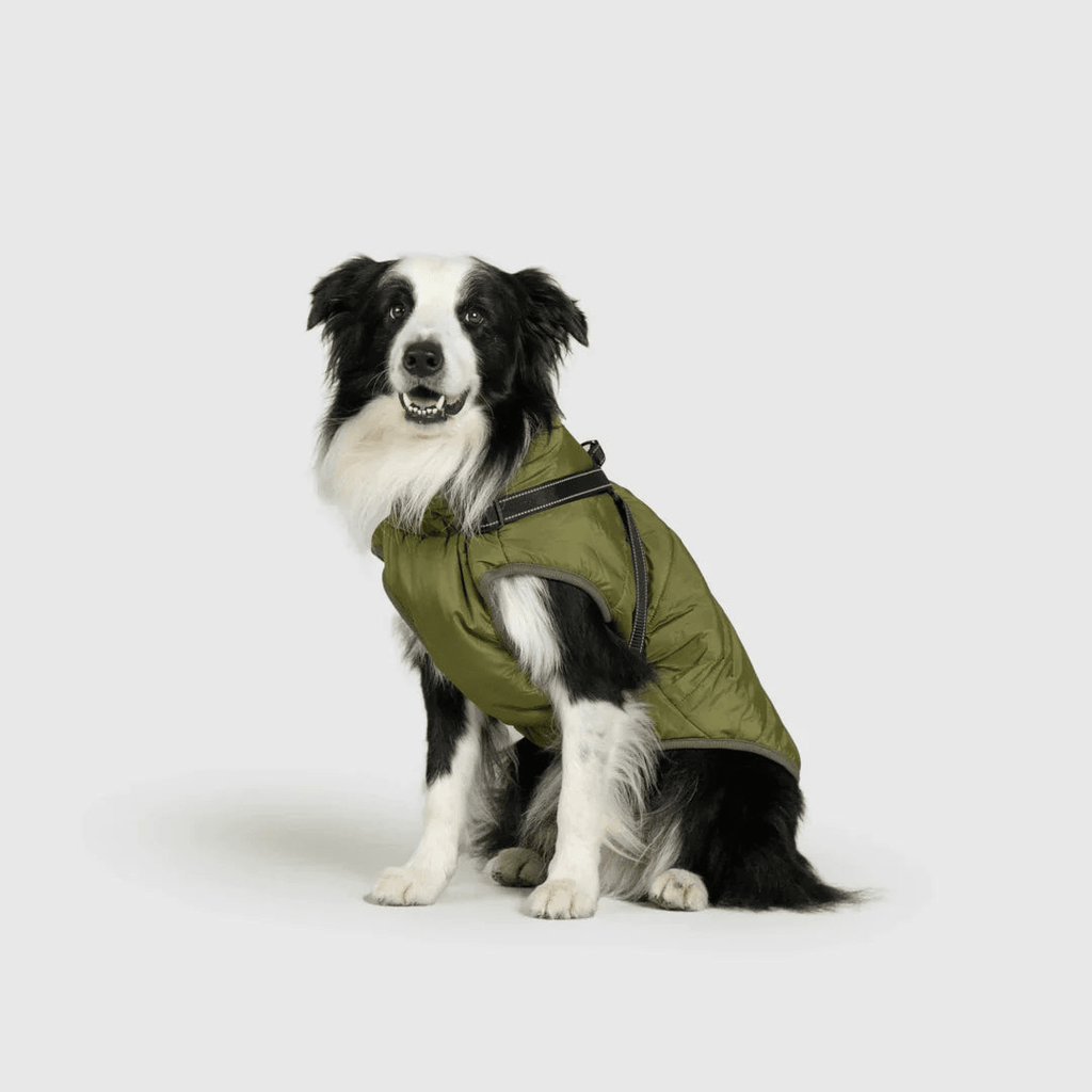 PawfectGuard™ 3 - i - 1 Hundejakke – Ultimat Beskyttelse, Stil & Komfort! - NordHjem