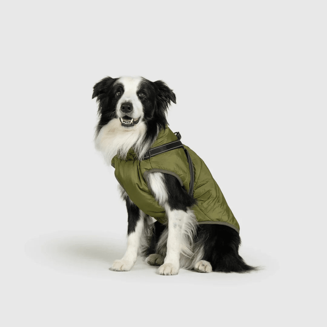 PawfectGuard™ 3 - i - 1 Hundejakke – Ultimat Beskyttelse, Stil & Komfort! - NordHjem