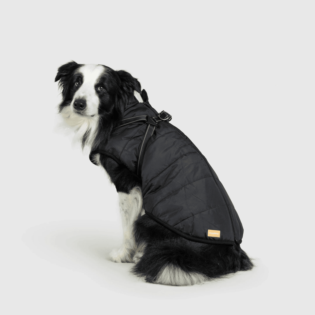 PawfectGuard™ 3 - i - 1 Hundejakke – Ultimat Beskyttelse, Stil & Komfort! - NordHjem