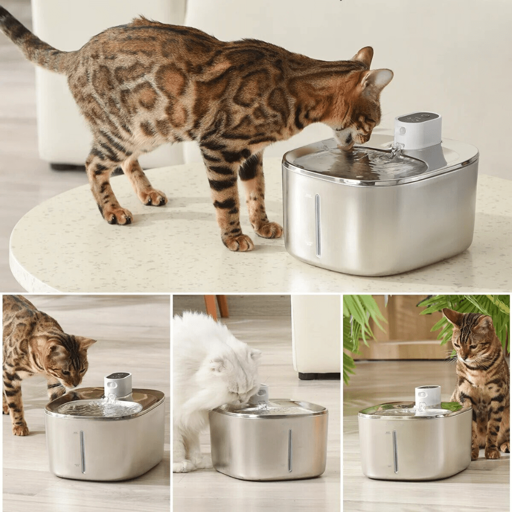 Sipurr™ | Kattfontene - NordHjem