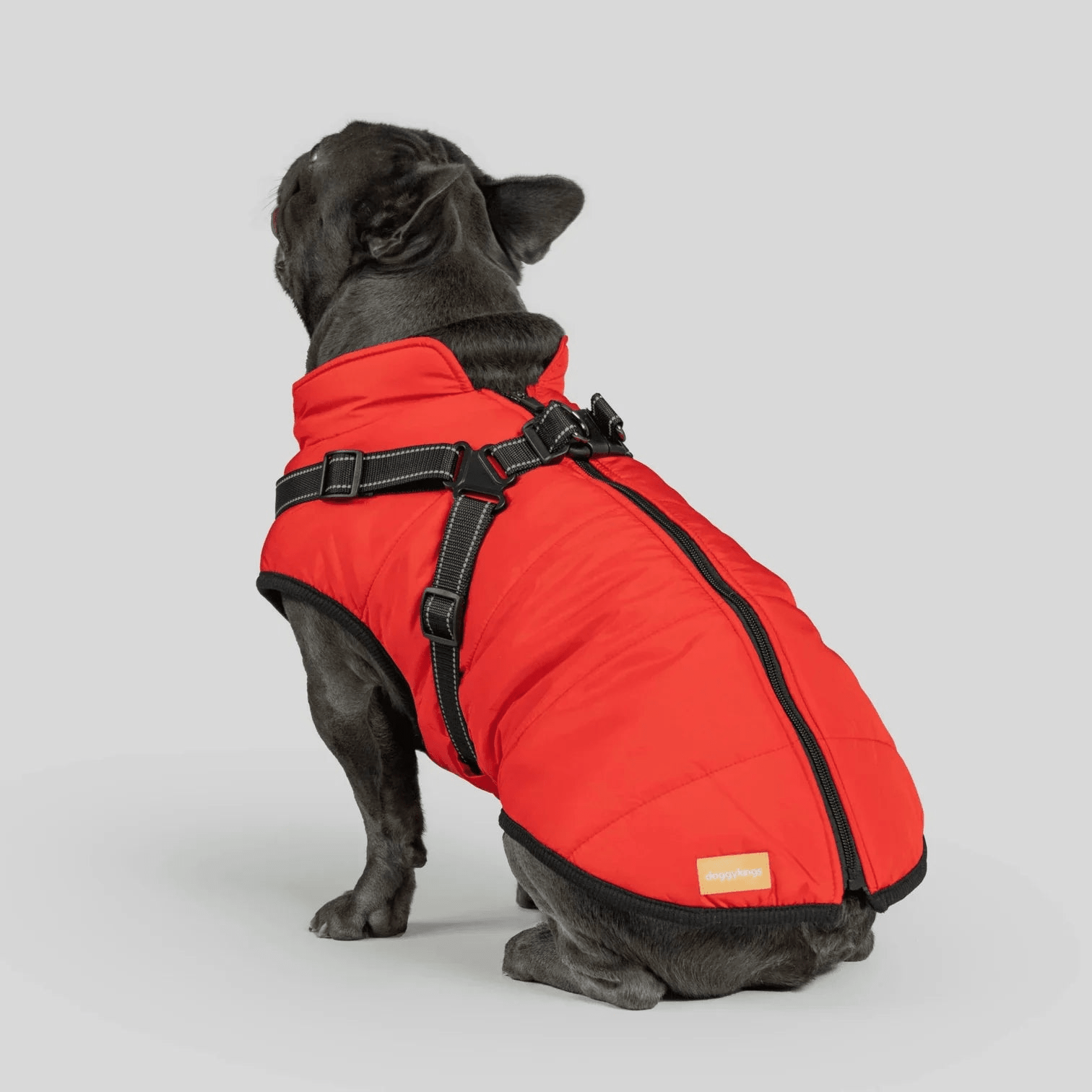 PawfectGuard™ 3 - i - 1 Hundejakke – Ultimat Beskyttelse, Stil & Komfort! - NordHjem