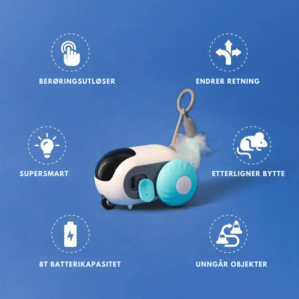 PurrBot 2.0 – Den ultimate lekekameraten for katten din - NordHjem