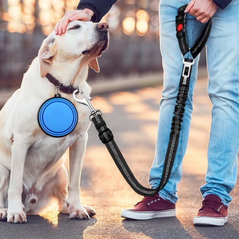 Sikkerhetsbelte for kjæledyr til bil