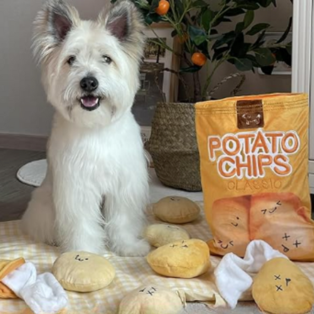 DogFri™ SniffingBag: Interaktiv Duft Trening Og Godbit Skjuling Snusing Veske