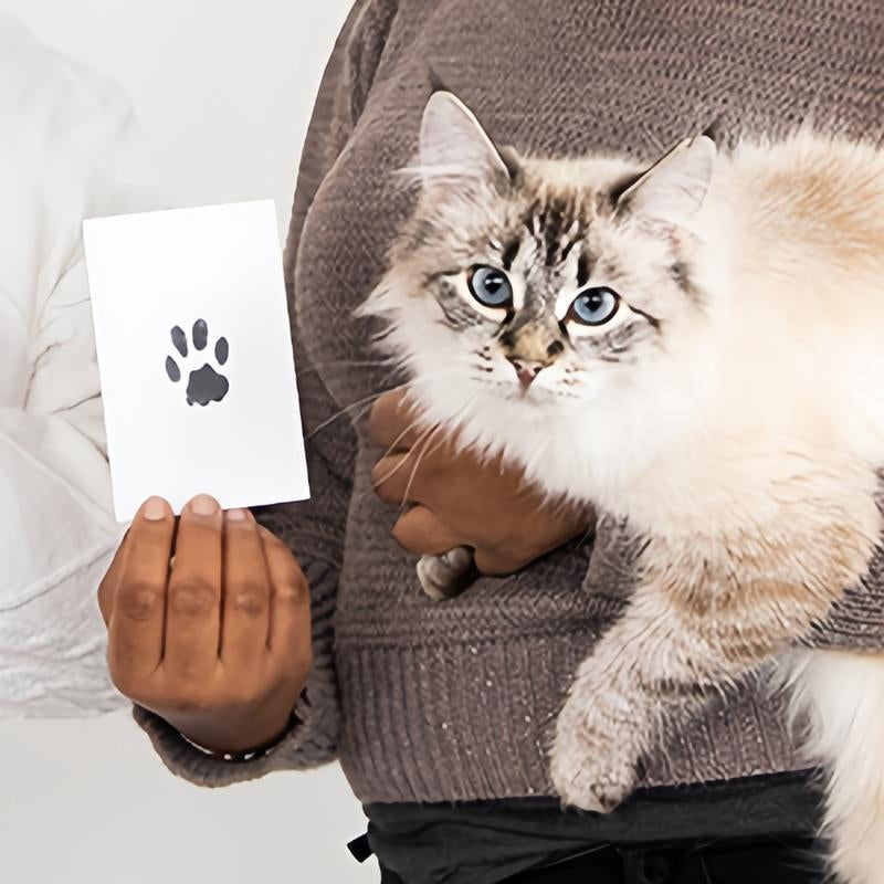 DogCatFri™ PawPrint: Kjæledyr Pote Ramme Og Utskrift Sett