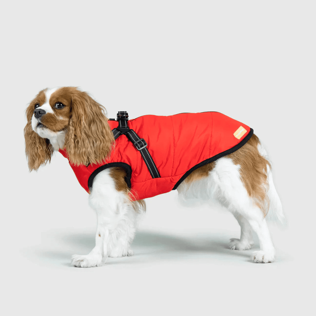 PawfectGuard™ 3 - i - 1 Hundejakke – Ultimat Beskyttelse, Stil & Komfort! - NordHjem
