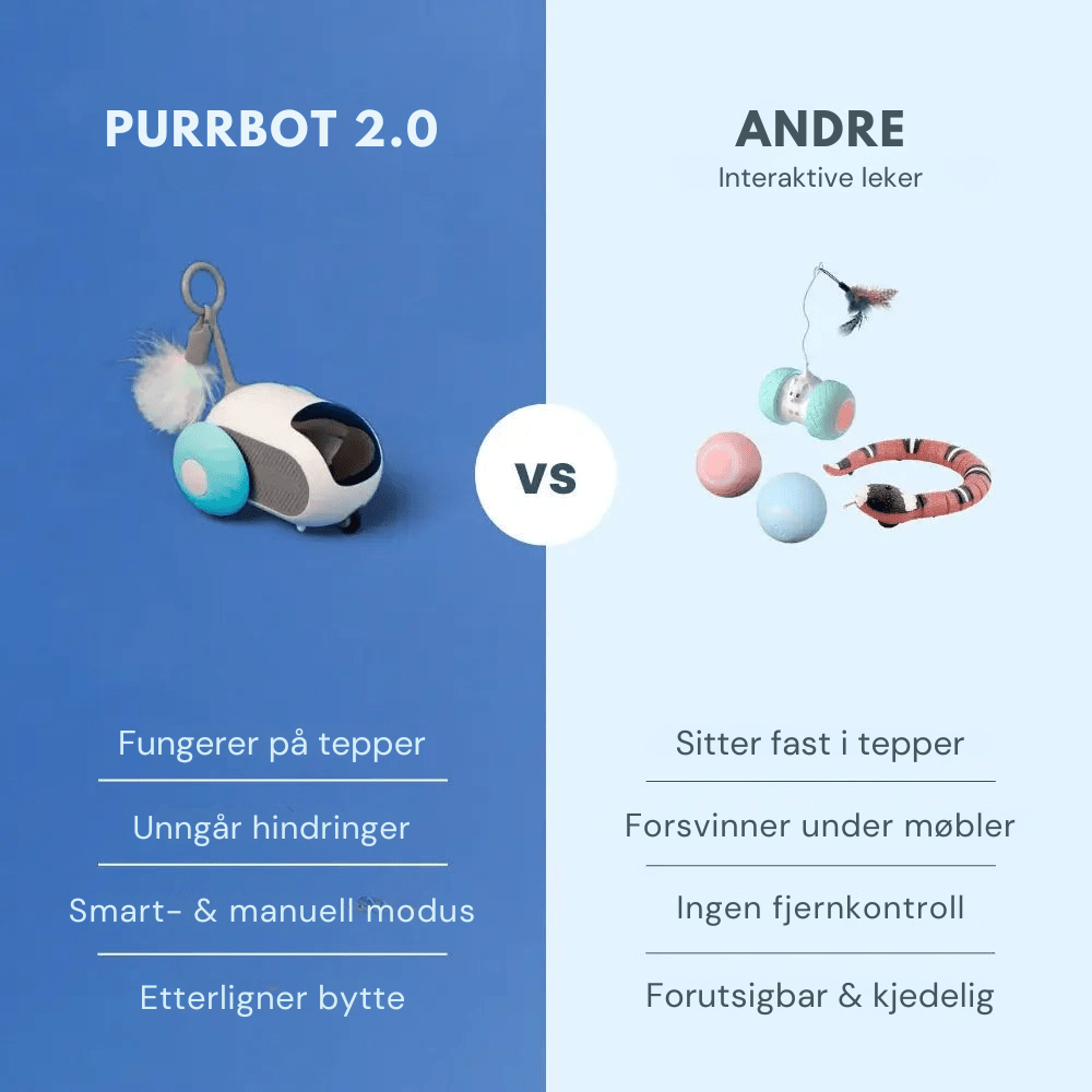 PurrBot 2.0 – Den ultimate lekekameraten for katten din - NordHjem