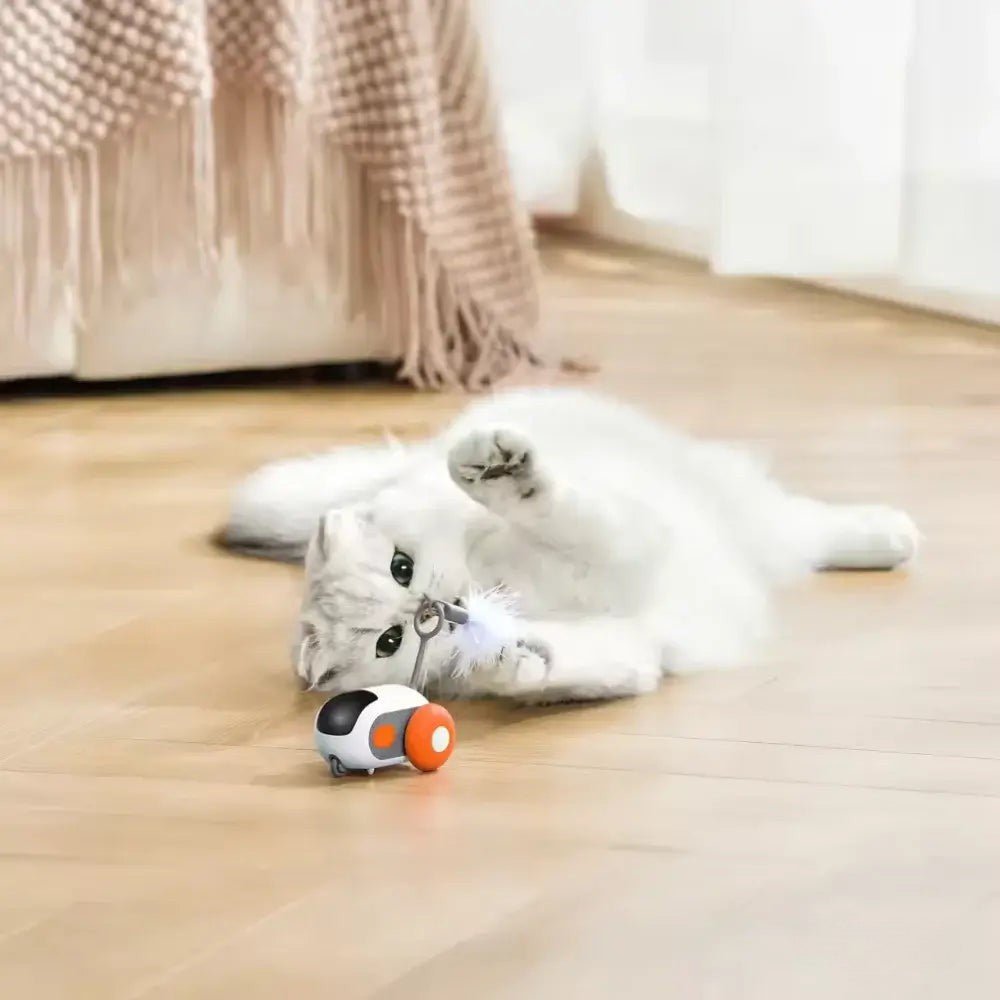 PurrBot 2.0 – Den ultimate lekekameraten for katten din - NordHjem