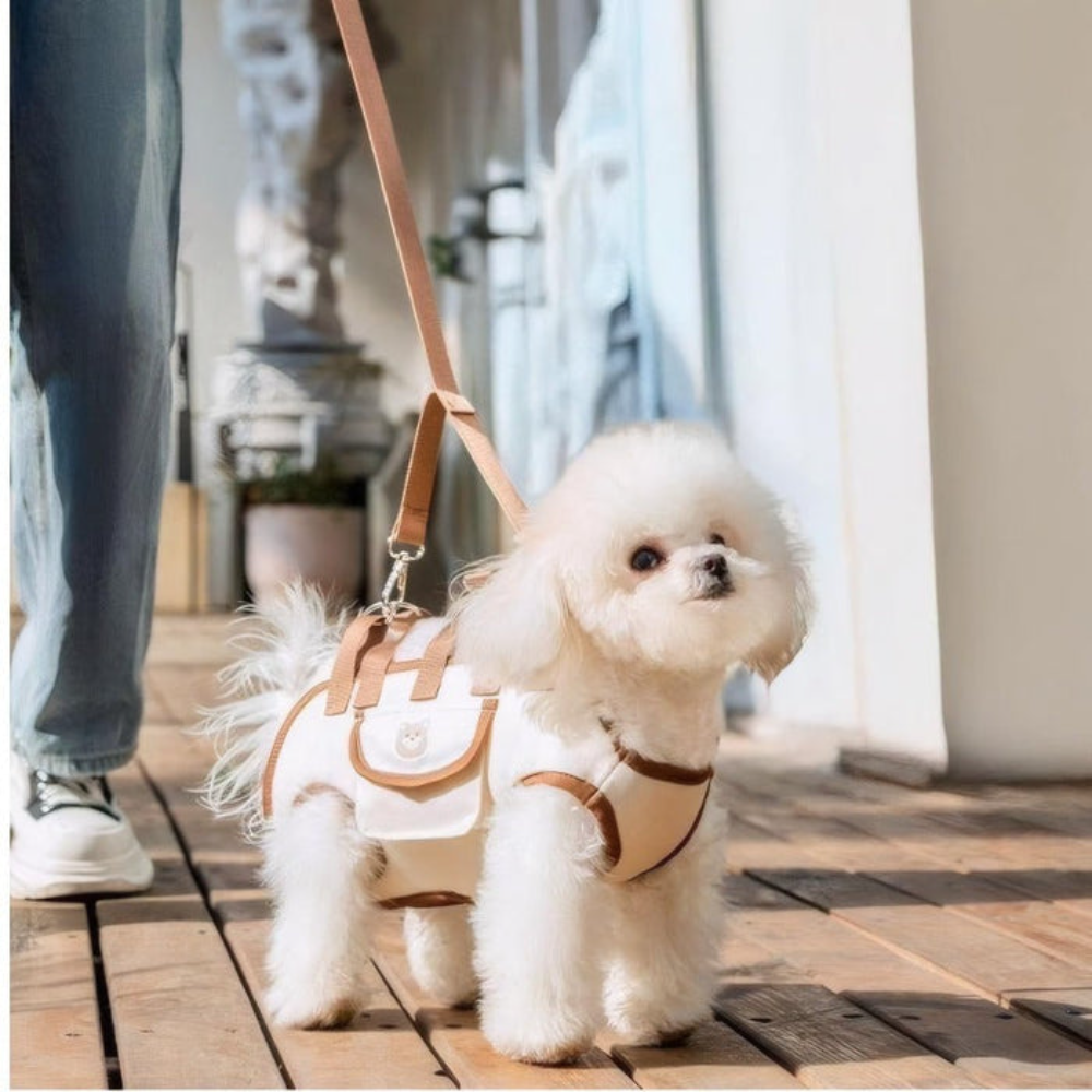 DogCatFri™ PetSling: Ventilert Crossbody Reise Klar Kjæledyr Slynge