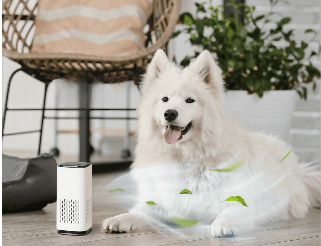 Pet Air Purifier™ - luftrenser for kjæledyr - NordHjem