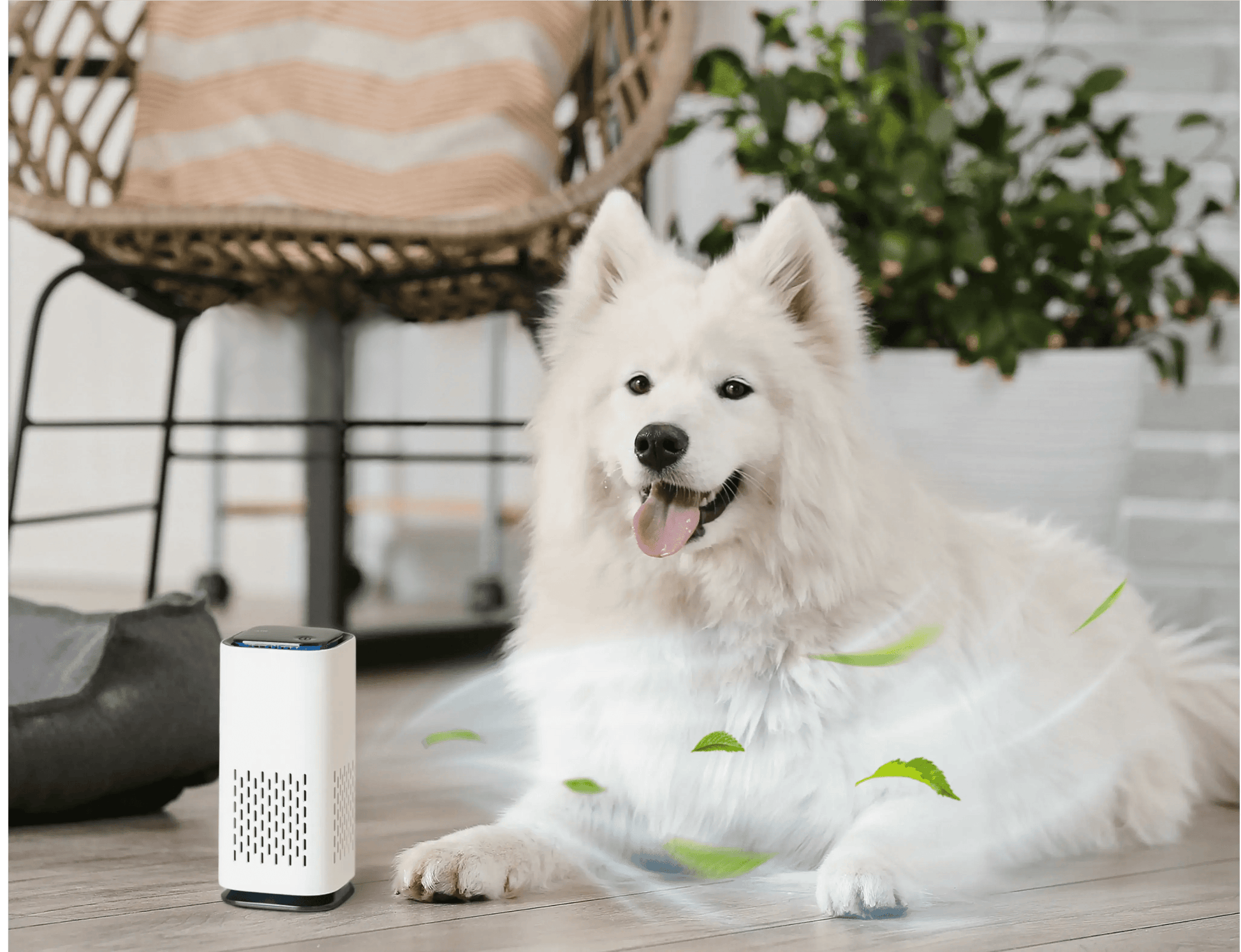 Pet Air Purifier™ - luftrenser for kjæledyr - NordHjem