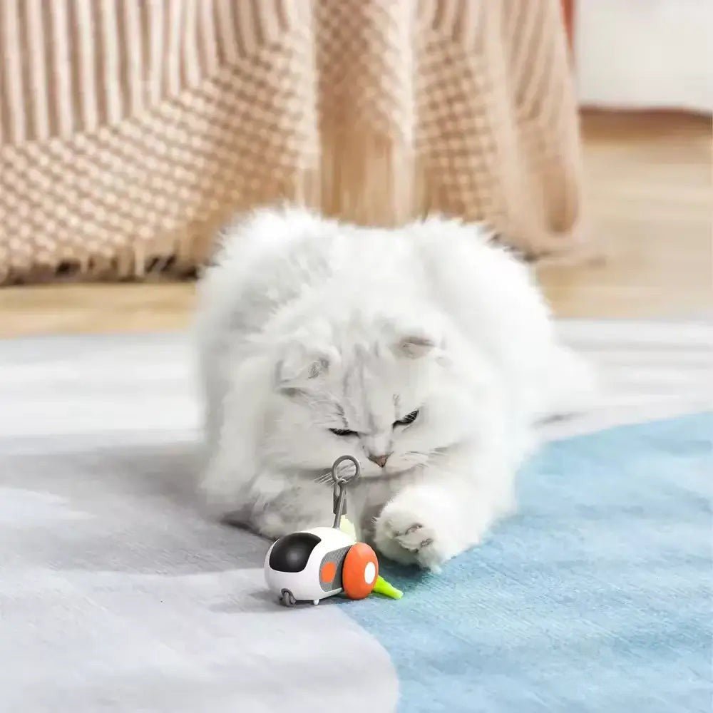 PurrBot 2.0 – Den ultimate lekekameraten for katten din - NordHjem