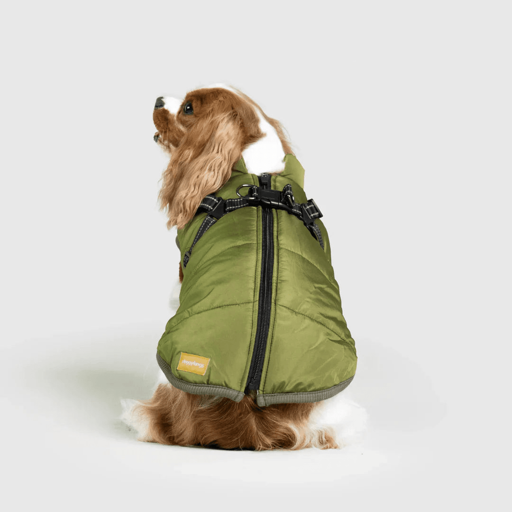 PawfectGuard™ 3 - i - 1 Hundejakke – Ultimat Beskyttelse, Stil & Komfort! - NordHjem