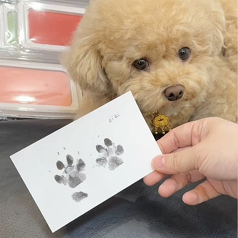 DogCatFri™ PawPrint: Kjæledyr Pote Ramme Og Utskrift Sett