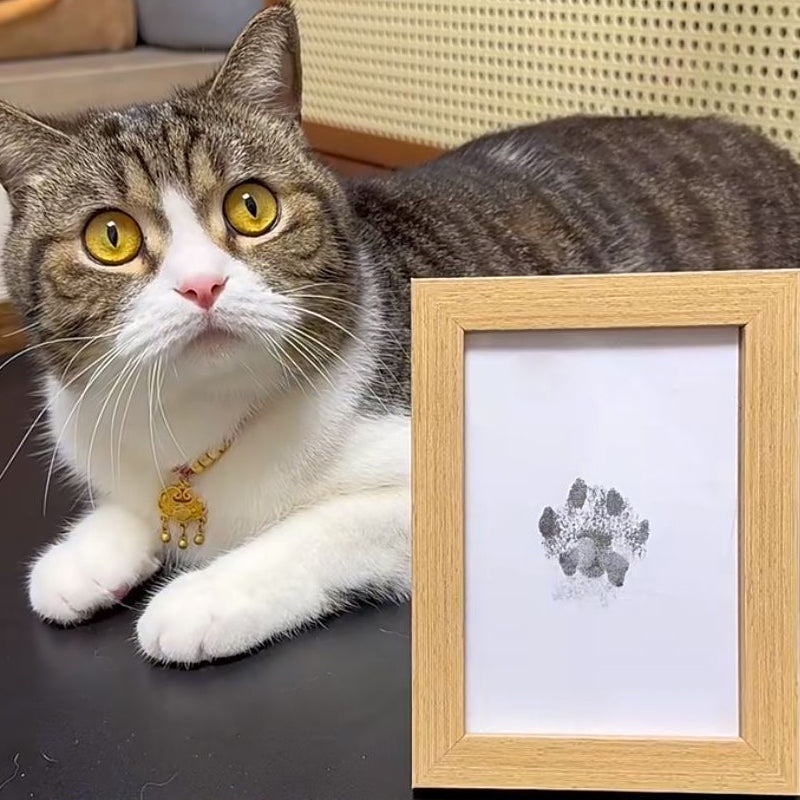 DogCatFri™ PawPrint: Kjæledyr Pote Ramme Og Utskrift Sett