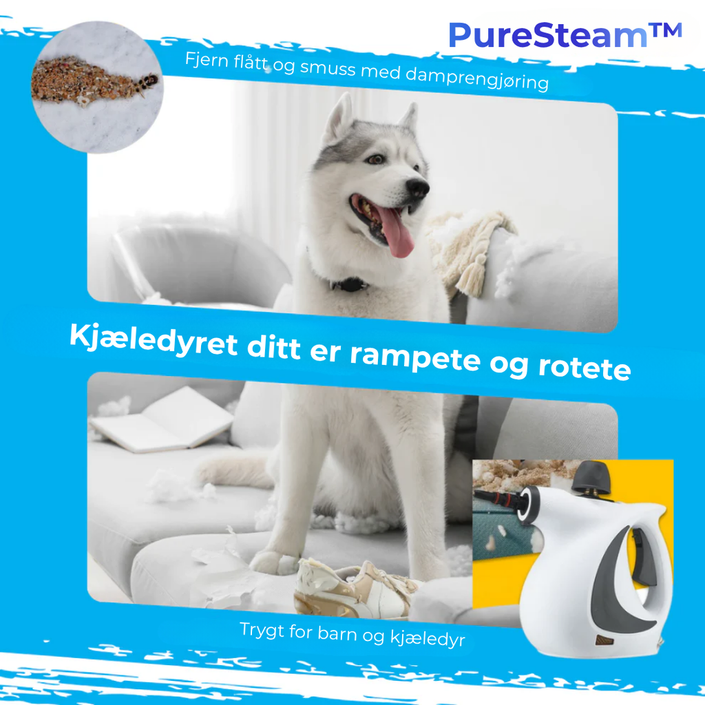 PureSteam™ MAX | Rengør – Uden Kemikalier. Kun Dampf.