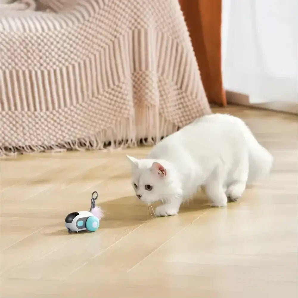 PurrBot 2.0 – Den ultimate lekekameraten for katten din - NordHjem