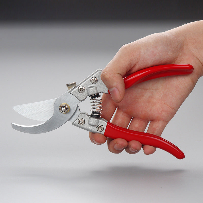 Beskjæringsverktøy for Hage