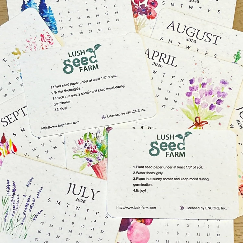 PaperSeeds: Miljøvennlig Kjærlighet 2026 Papir Frø Kalender