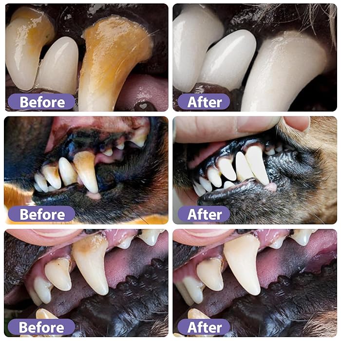 DogCatFri™  DentalPet: Kjæledyr Dental Reparasjon Og Rengjøring Gel