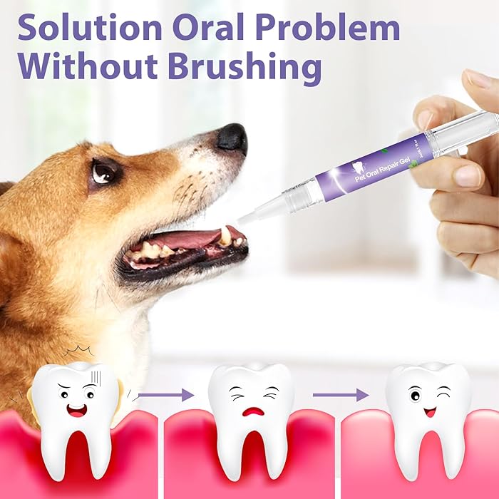 DogCatFri™  DentalPet: Kjæledyr Dental Reparasjon Og Rengjøring Gel