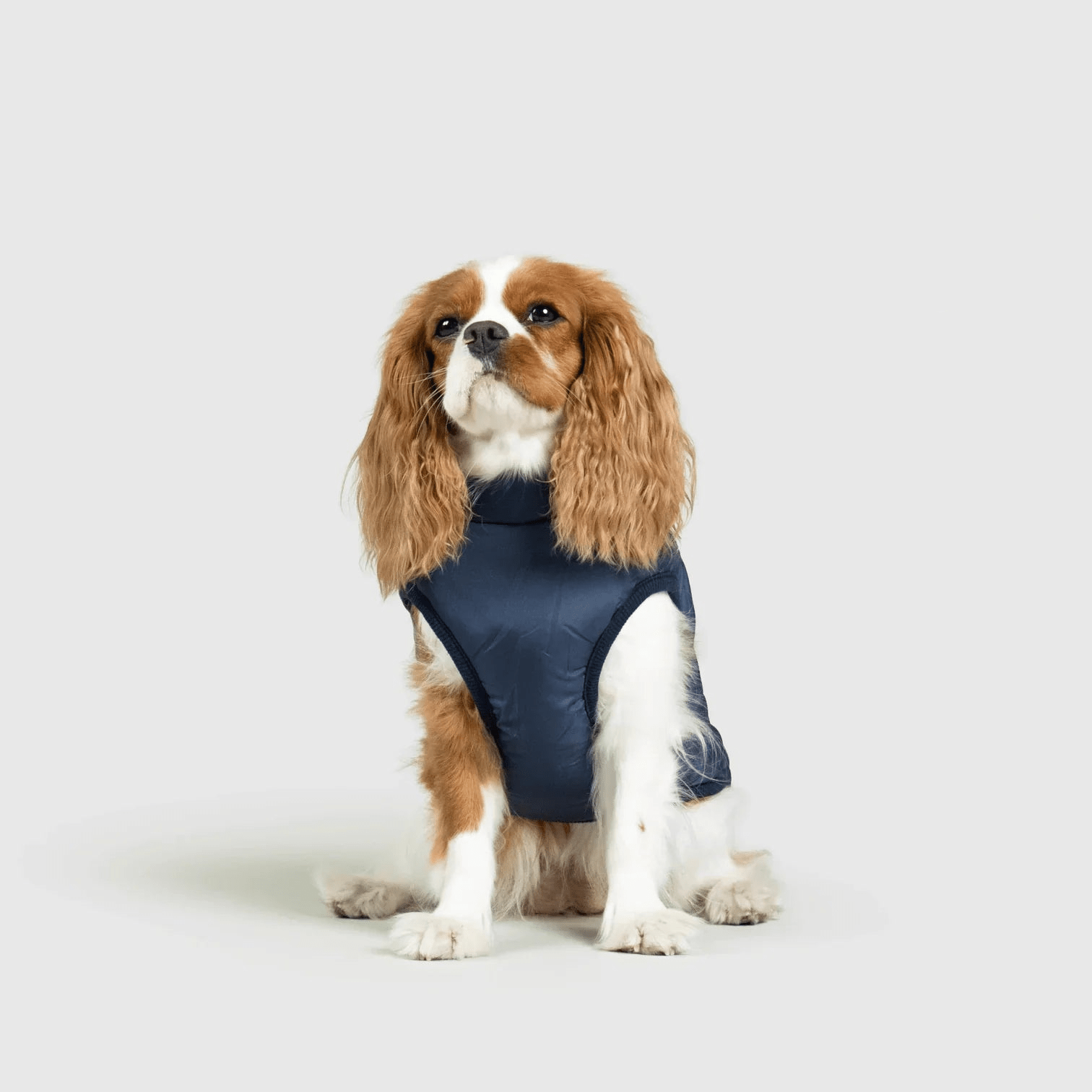 PawfectGuard™ 3 - i - 1 Hundejakke – Ultimat Beskyttelse, Stil & Komfort! - NordHjem