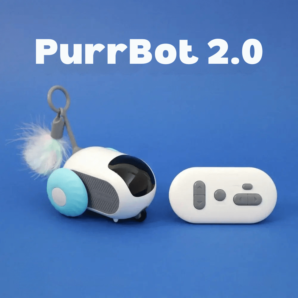 PurrBot 2.0 – Den ultimate lekekameraten for katten din - NordHjem