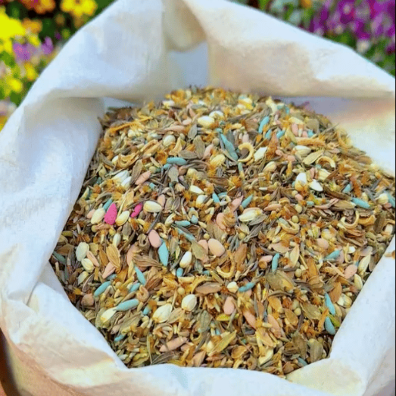 GardenSeeds - Enkle Å Dyrke Blandet Blomsterhage Varieteter Fargerike Blomsterfrø