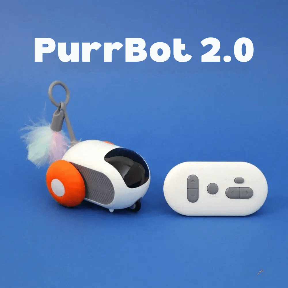 PurrBot 2.0 – Den ultimate lekekameraten for katten din - NordHjem