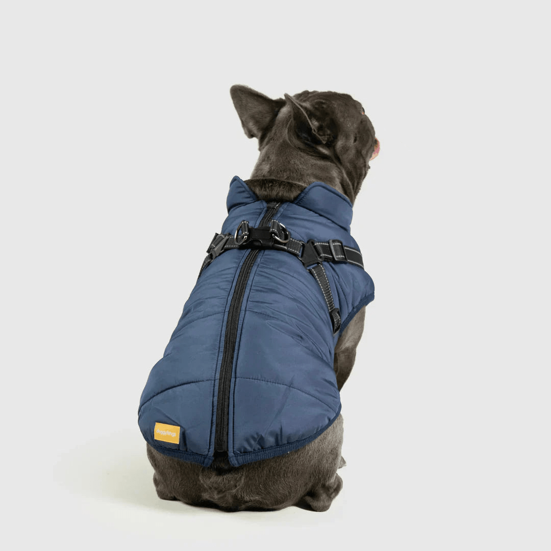 PawfectGuard™ 3 - i - 1 Hundejakke – Ultimat Beskyttelse, Stil & Komfort! - NordHjem