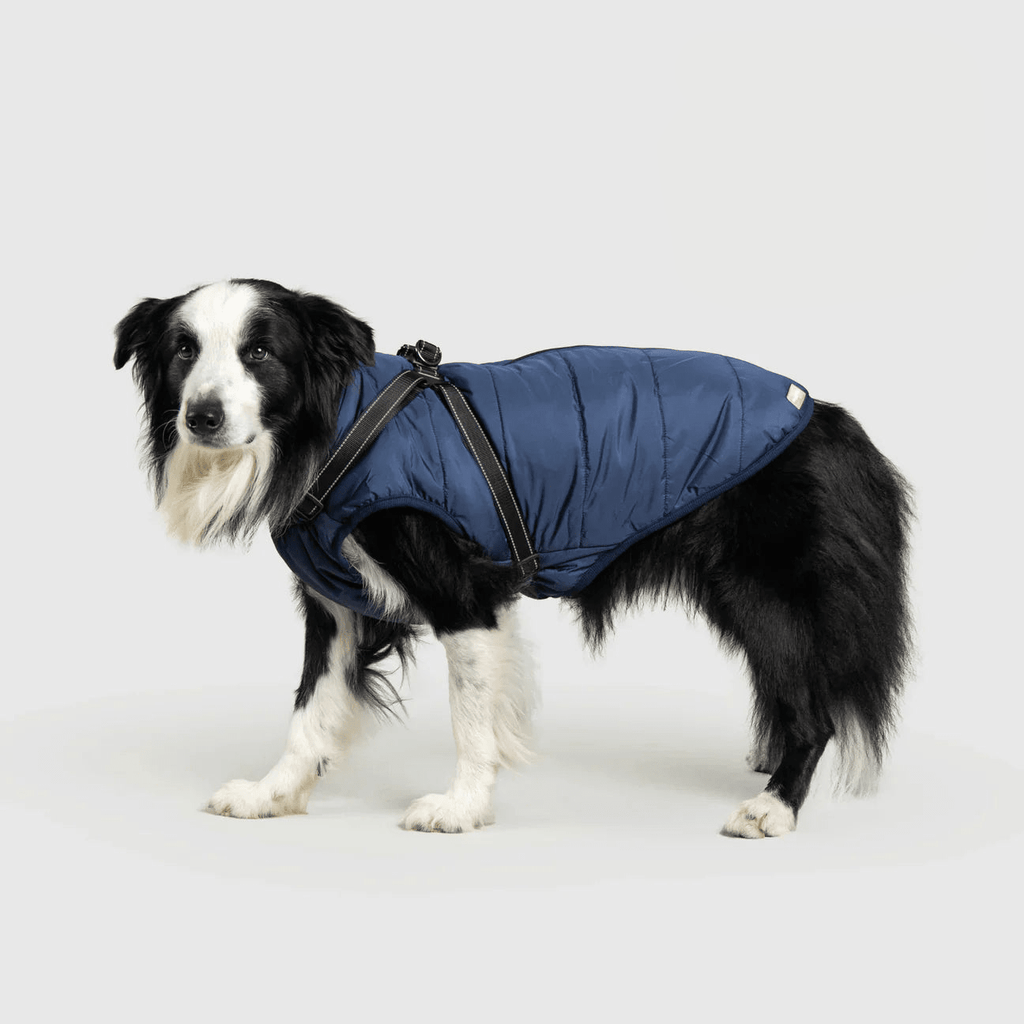 PawfectGuard™ 3 - i - 1 Hundejakke – Ultimat Beskyttelse, Stil & Komfort! - NordHjem
