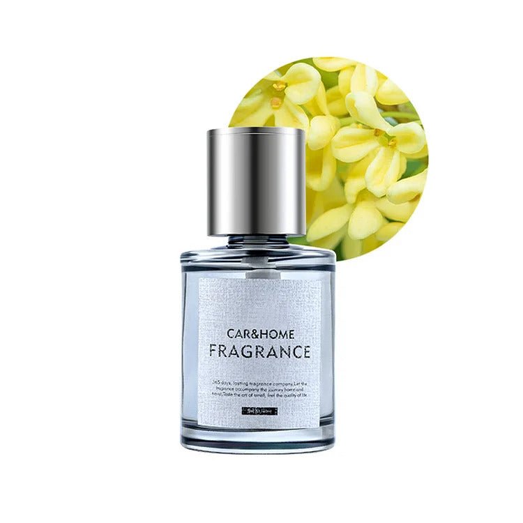 Carfume – Smart Ultralydsforstøvet Bilduft - NordHjem