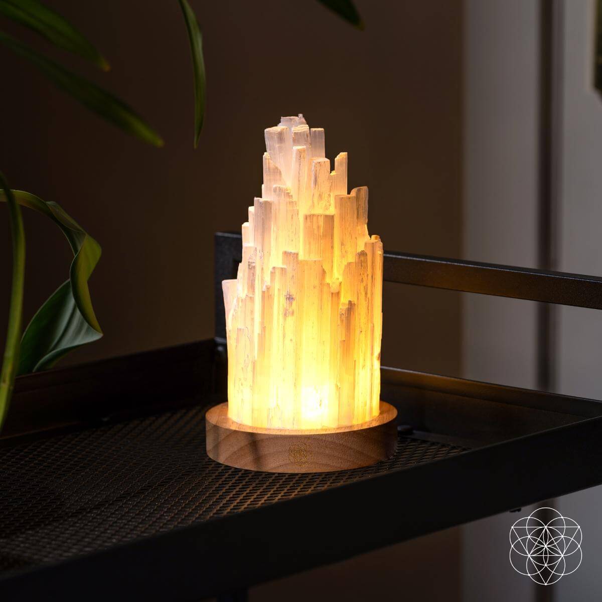 Selenittlampe - NordHjem