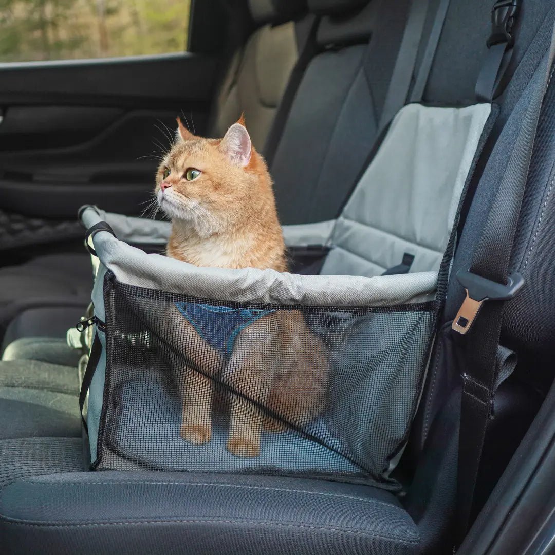 PurrfectRide™ Car Seat – Luftig komfort for små og mellomstore kjæledyr - NordHjem