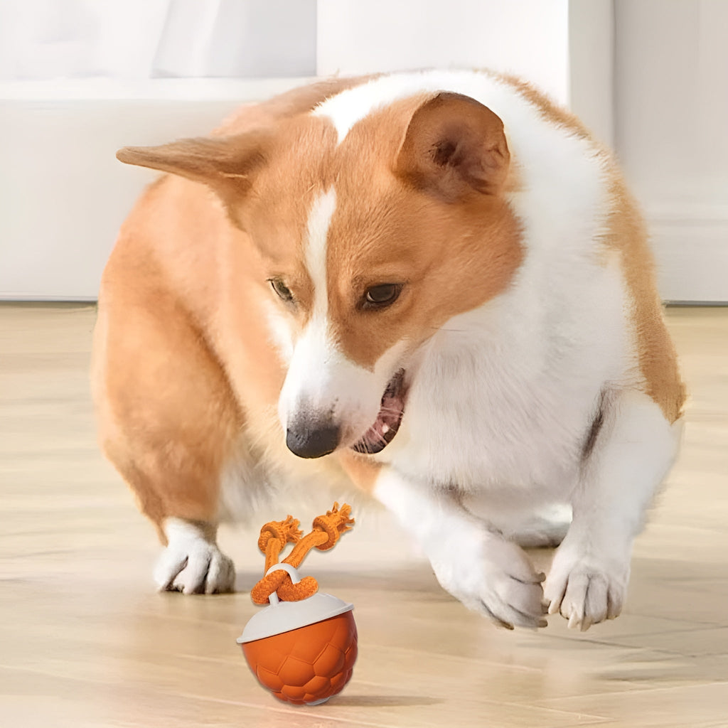 DogFri™ SmartBall: Interaktiv Hindring-Unngåelse Oppladbar Trenings Smart Ball